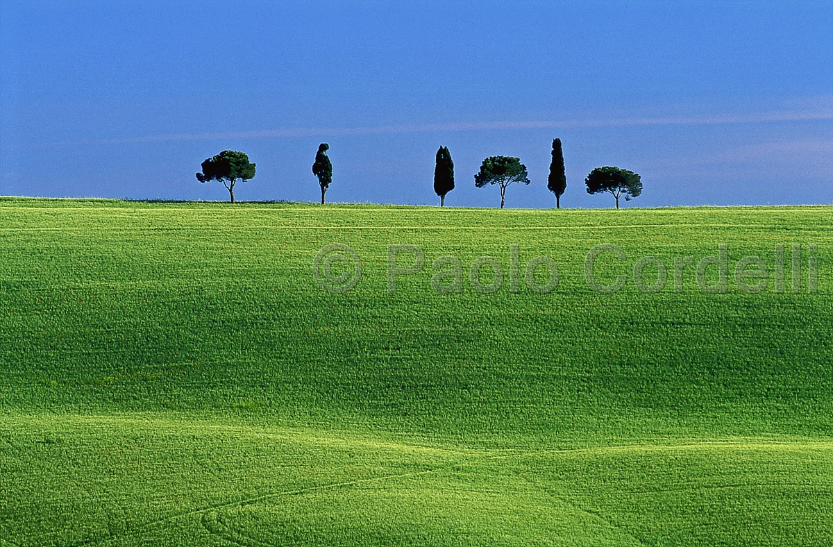 Hill, Tuscany, Italy
 (cod:Tuscany 10)